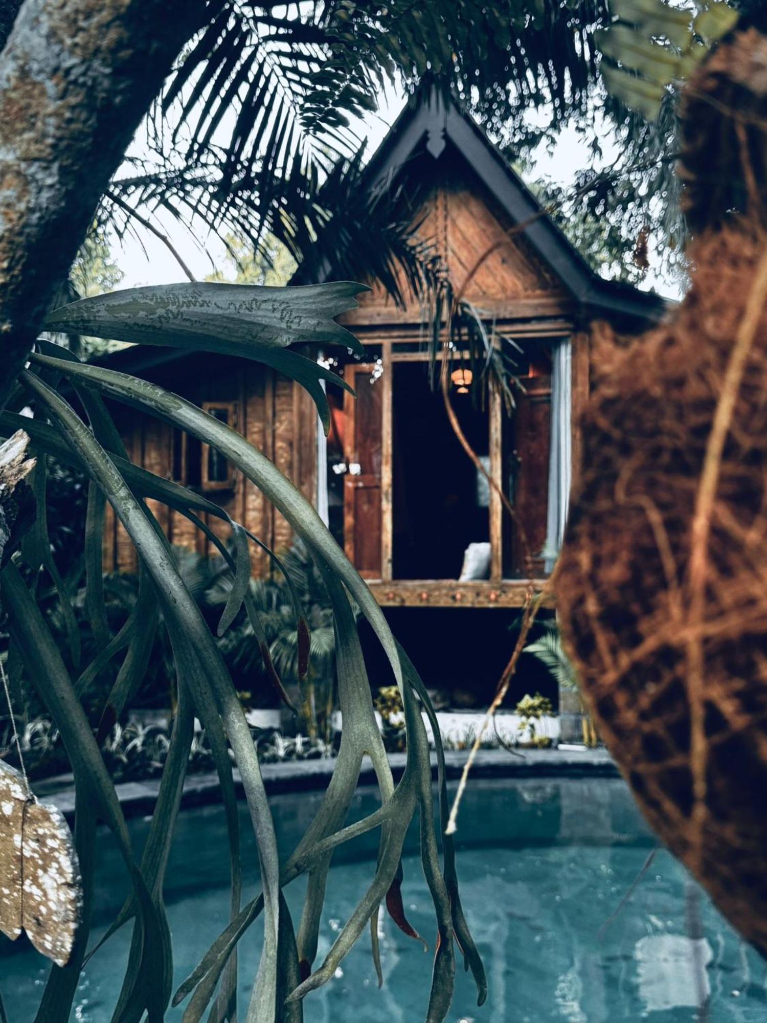 Resort Jungleroom Canggu Экстерьер фото